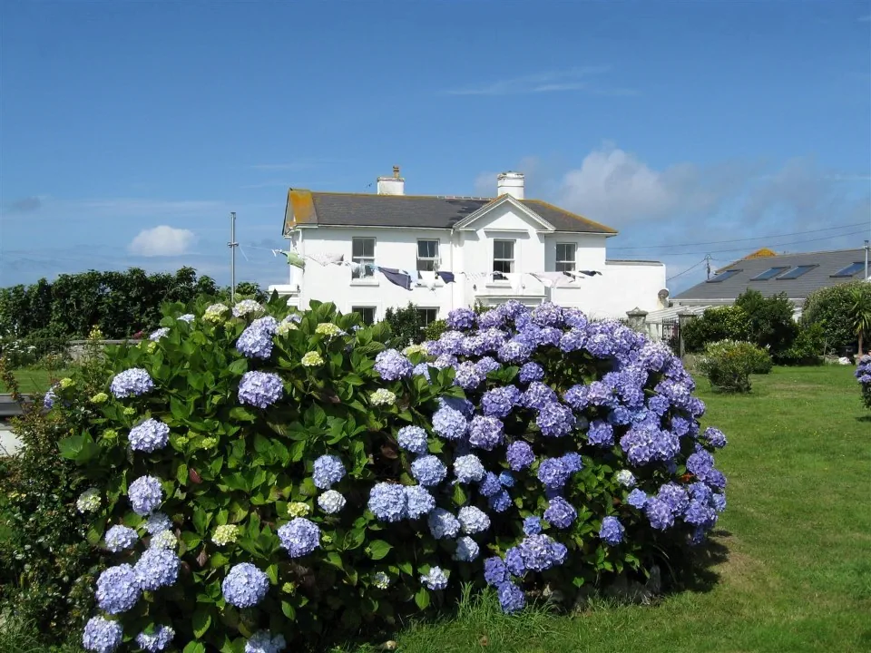 Day 4 boswedden house garden